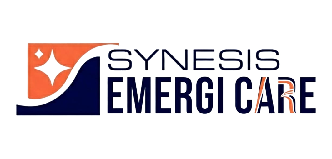 Synesis Prime.com